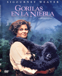 GNERO Drama | Biogrfico. frica. Naturaleza. Animales. Simios - Dian Fossey llega a frica para confeccionar un censo sobre una especie en peligro de extincin: el gorila de montaa. Acompaada por un rastreador nativo comienza su trabajo y queda fascinada por la vida de esos animales, a los que no teme acercarse para estudiar su comportamiento. Entre Dian y los gorilas llega a establecerse una especie de extraa relacin afectiva En su afn por proteger la especie, la Doctora Fossey tendr serios problemas con las autoridades y los cazadores furtivos, que venden las crias a los zoolgicos y matan a los adultos para la fabricacin de souvenirs. (FILMAFFINITY)